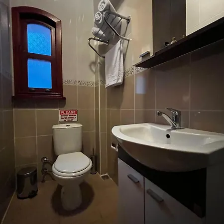 Lily Mansion Apartment Istanbul